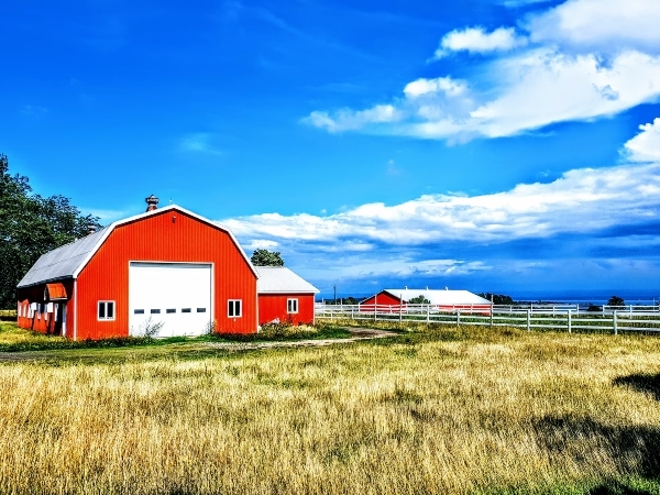 Why Metal Pole Barns Are a Smart, Affordable Choice