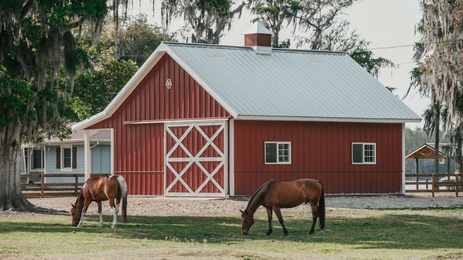 Equestrian