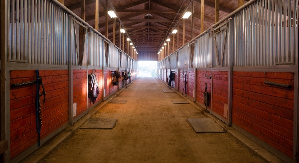 An equestrian barn is pictured with an open door at the end and several clean stalls running along each side with a wide gap between the two sides.