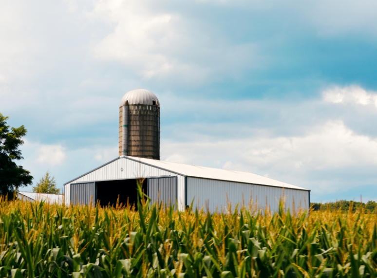 Premium Metal Roofing & Post-Frame Buildings | Mansea Metal - Mansea-DesignedToLast2