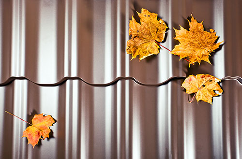 A metal roof has colored leaves resting on it.