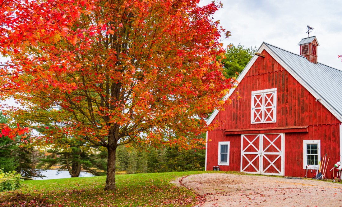 Pole Barn &amp; Post-Frame Building Renovation | Mansea Metal - iStock-1365854285