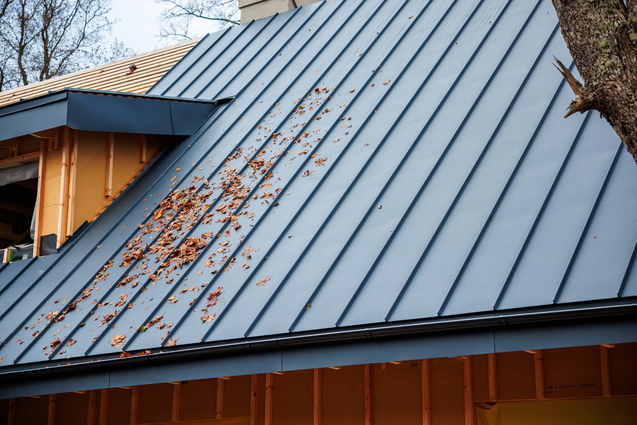 Dark blue metal roof on a house under construction, with fallen leaves collected in the valley beside a dormer and bare framing visible below.