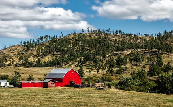 A pole barn set in an open field benefits from the added space built on to the side of the original structure.