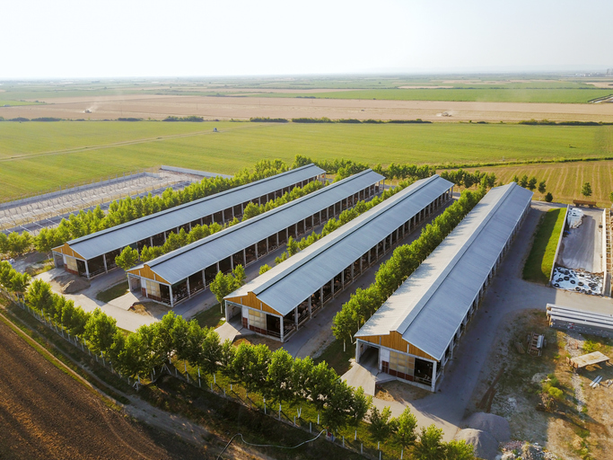 Agricultural metal roofing