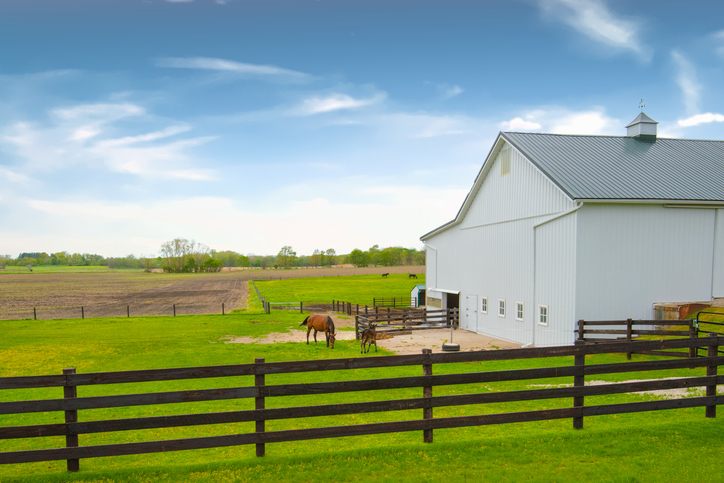 Designed for Your Equestrian Activities and Lifestyle