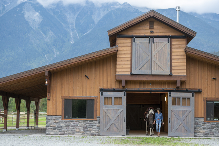 Elevate Equestrian Structures With the Color Visualizer