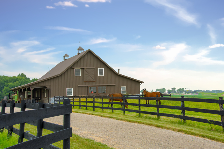 Dream Equestrian Facility